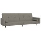 vidaXL Sofá cama de 2 plazas con dos almohadas terciopelo gris claro vidaXL Sofá cama de 2 plazas con dos almohadas terciopelo gris claro