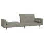 vidaXL Sofá cama de 2 plazas con dos almohadas terciopelo gris claro vidaXL Sofá cama de 2 plazas con dos almohadas terciopelo gris claro