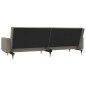 vidaXL Sofá cama de 2 plazas con dos almohadas terciopelo gris claro vidaXL Sofá cama de 2 plazas con dos almohadas terciopelo gris claro