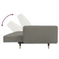 vidaXL Sofá cama de 2 plazas con dos almohadas terciopelo gris claro vidaXL Sofá cama de 2 plazas con dos almohadas terciopelo gris claro