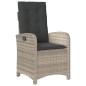vidaXL Set comedor de jardín 9 pzas cojines ratán sintético gris claro vidaXL Set comedor de jardín 9 pzas cojines ratán sintético gris claro