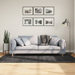 vidaXL Alfombra de pelo largo moderna gris antracita 100x200 cm