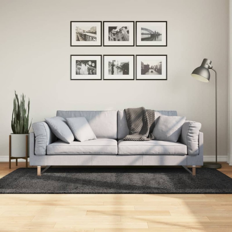 vidaXL Alfombra de pelo largo moderna gris antracita 100x200 cm vidaXL Alfombra de pelo largo moderna gris antracita 100x200 cm