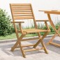 vidaXL Sillas de jardín plegables 2 uds madera acacia 54,5x61,5x86,5cm vidaXL Sillas de jardín plegables 2 uds madera acacia 54,5x61,5x86,5cm