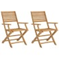 vidaXL Sillas de jardín plegables 2 uds madera acacia 54,5x61,5x86,5cm vidaXL Sillas de jardín plegables 2 uds madera acacia 54,5x61,5x86,5cm