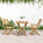 vidaXL Sillas de jardín plegables 2 uds madera acacia 54,5x61,5x86,5cm vidaXL Sillas de jardín plegables 2 uds madera acacia 54,5x61,5x86,5cm