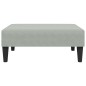vidaXL Sofá cama de 2 plazas con taburete terciopelo gris claro vidaXL Sofá cama de 2 plazas con taburete terciopelo gris claro