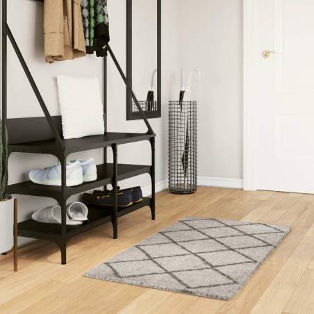 vidaXL Alfombra de pelo largo moderna beige y gris antracita 60x110 cm