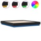vidaXL Estructura de cama con luces LED negro 200x200 cm vidaXL Estructura de cama con luces LED negro 200x200 cm
