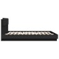 vidaXL Estructura de cama con cabecero y luces LED negro 180x200 cm