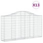 vidaXL Cestas de gaviones 13 uds forma arco hierro 200x30x100/120 cm vidaXL Cestas de gaviones 13 uds forma arco hierro 200x30x100/120 cm