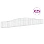 vidaXL Cestas de gaviones 25 uds forma de arco hierro 400x30x40/60 cm vidaXL Cestas de gaviones 25 uds forma de arco hierro 400x30x40/60 cm