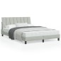 vidaXL Estructura cama con luces LED terciopelo gris claro 120x200 cm vidaXL Estructura cama con luces LED terciopelo gris claro 120x200 cm