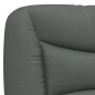 vidaXL Estructura de cama con luces LED tela gris oscuro 100x200 cm