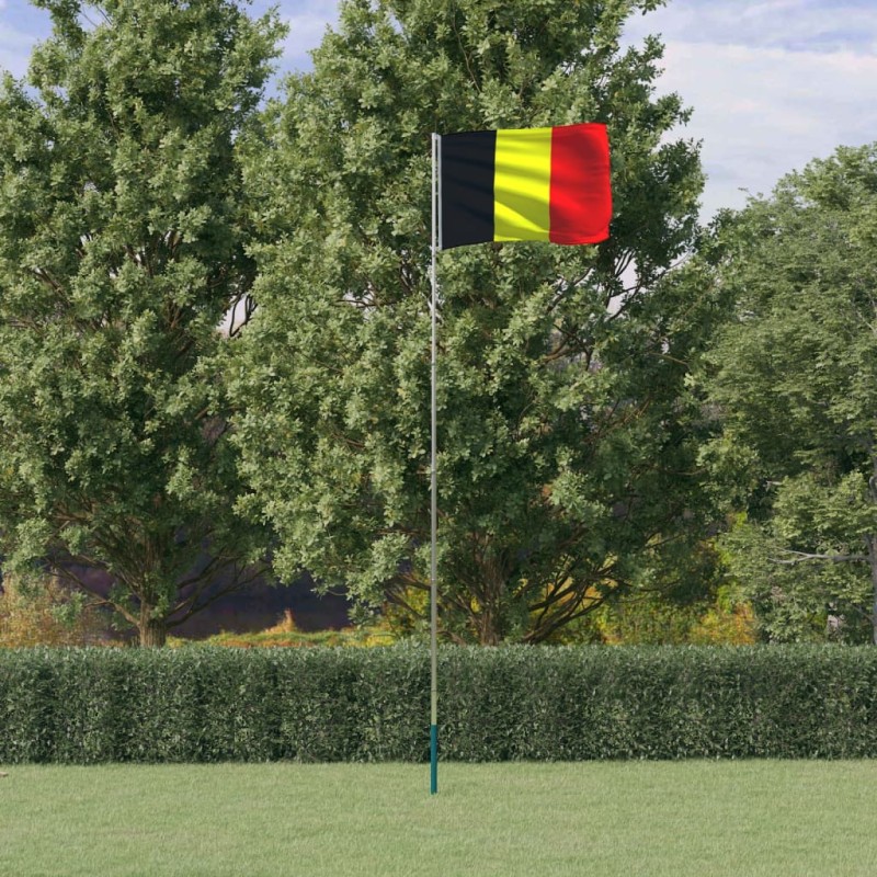 vidaXL Mástil y bandera de Bélgica aluminio 5,55 m vidaXL Mástil y bandera de Bélgica aluminio 5,55 m