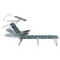 vidaXL Tumbona con toldo acero estampado de hojas vidaXL Tumbona con toldo acero estampado de hojas