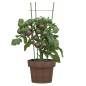 vidaXL Soportes plantas jardín con 3 anillas 5 uds acero verde 45 cm vidaXL Soportes plantas jardín con 3 anillas 5 uds acero verde 45 cm