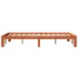 vidaXL Estructura de cama madera maciza pino marrón cera 120x200 cm