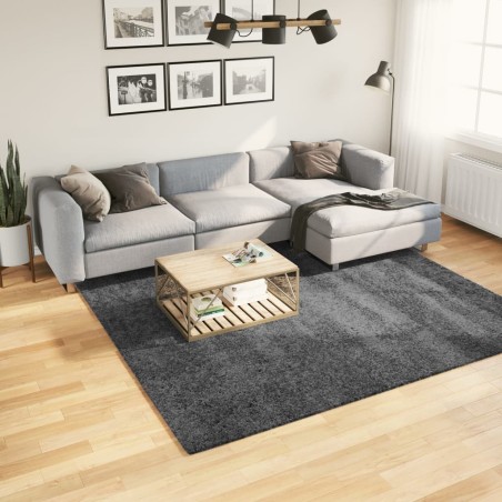 vidaXL Alfombra de pelo corto OVIEDO gris antracita 240x240 cm