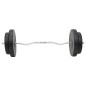 vidaXL Juego de barras y mancuernas con discos 90 kg vidaXL Juego de barras y mancuernas con discos 90 kg