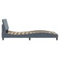 vidaXL Estructura cama con luces LED terciopelo gris oscuro 100x200 cm vidaXL Estructura cama con luces LED terciopelo gris oscuro 100x200 cm
