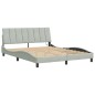 vidaXL Estructura cama con luces LED terciopelo gris claro 160x200 cm vidaXL Estructura cama con luces LED terciopelo gris claro 160x200 cm