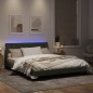 vidaXL Estructura cama con luces LED terciopelo gris claro 160x200 cm vidaXL Estructura cama con luces LED terciopelo gris claro 160x200 cm