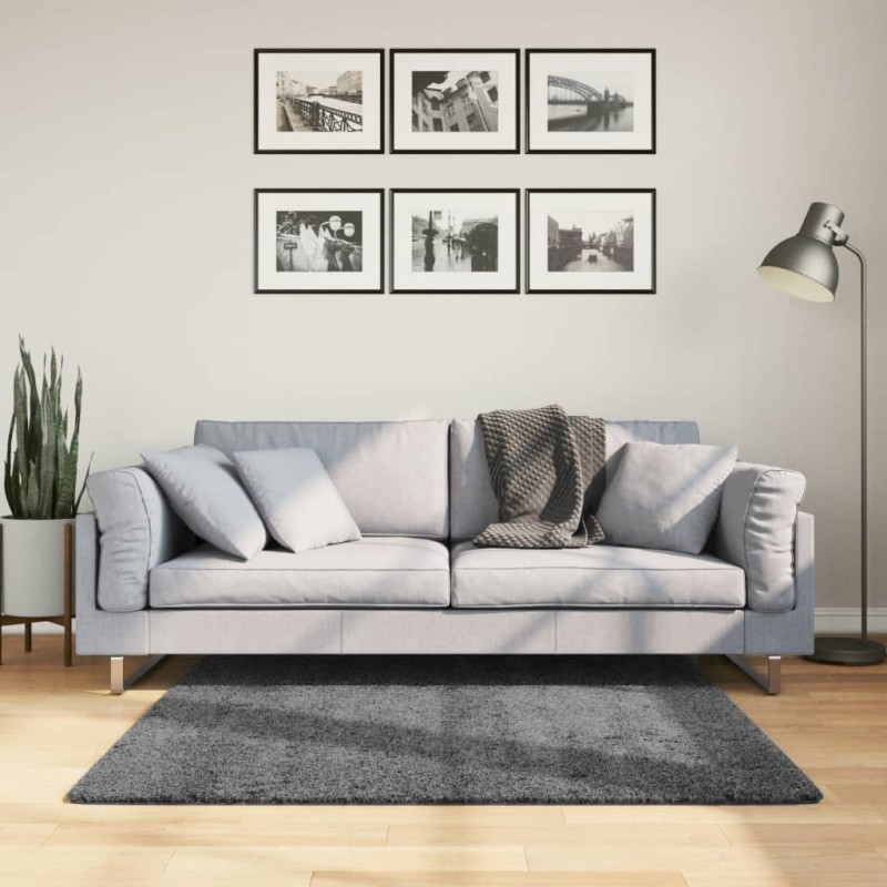vidaXL Alfombra de pelo corto OVIEDO gris antracita 120x120 cm