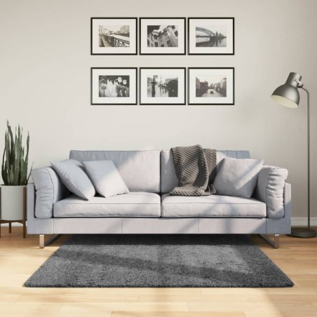 vidaXL Alfombra de pelo corto OVIEDO gris antracita 120x120 cm