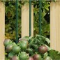vidaXL Tutores para plantas de jardín 30 unidades acero verde 115 cm vidaXL Tutores para plantas de jardín 30 unidades acero verde 115 cm
