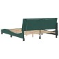 vidaXL Estructura cama con luces LED terciopelo verde oscuro 160x200cm
