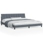 vidaXL Estructura cama con luces LED terciopelo gris oscuro 200x200 cm vidaXL Estructura cama con luces LED terciopelo gris oscuro 200x200 cm