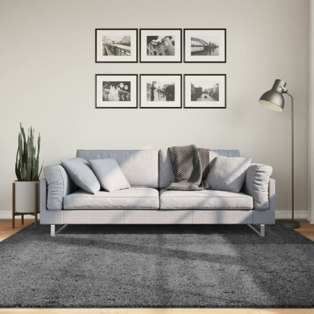 vidaXL Alfombra de pelo corto OVIEDO gris antracita 200x200 cm