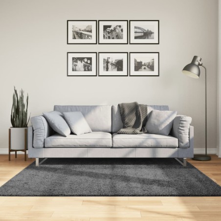 vidaXL Alfombra de pelo corto OVIEDO gris antracita 160x160 cm
