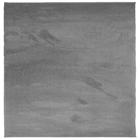 vidaXL Alfombra de pelo corto OVIEDO gris antracita 160x160 cm