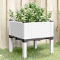 vidaXL Jardinera con patas PP blanco 40x40x42 cm vidaXL Jardinera con patas PP blanco 40x40x42 cm