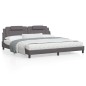 vidaXL Estructura cama con luces LED cuero sintético gris 200x200 cm vidaXL Estructura cama con luces LED cuero sintético gris 200x200 cm