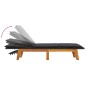 vidaXL Tumbonas con cojines 2 uds ratán sintético madera maciza acacia vidaXL Tumbonas con cojines 2 uds ratán sintético madera maciza acacia