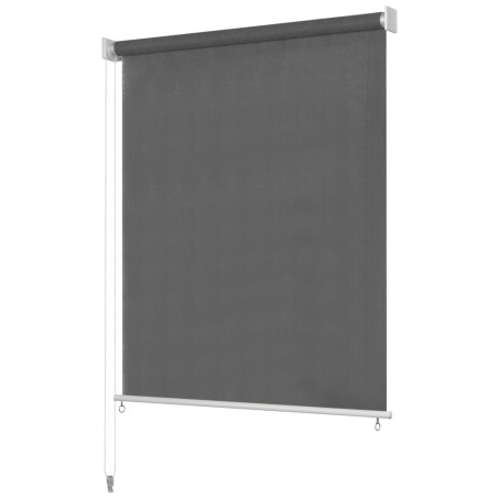 vidaXL Persiana enrollable de exterior 300x230 cm gris antracita