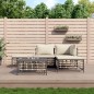 vidaXL Juego de muebles de jardín 5 pzas cojines antracita ratán PE vidaXL Juego de muebles de jardín 5 pzas cojines antracita ratán PE