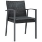 vidaXL Juego comedor jardín 9 piezas y cojines ratán sintético y acero vidaXL Juego comedor jardín 9 piezas y cojines ratán sintético y acero