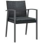 vidaXL Juego comedor jardín 5 piezas y cojines ratán sintético y acero