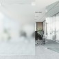 vidaXL Láminas de ventana esmerilada 5 uds PVC gris transparente vidaXL Láminas de ventana esmerilada 5 uds PVC gris transparente