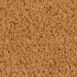 vidaXL Felpudo de fibra de coco natural 50x80 cm