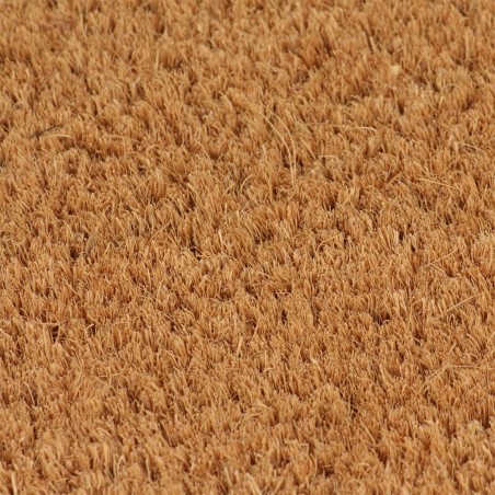 vidaXL Felpudo de fibra de coco natural 50x80 cm