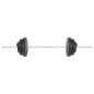 vidaXL Mancuerna con discos 60 kg vidaXL Mancuerna con discos 60 kg