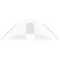vidaXL Invernadero con estructura de acero blanco 30 m² 6x5x2,3 m vidaXL Invernadero con estructura de acero blanco 30 m² 6x5x2,3 m