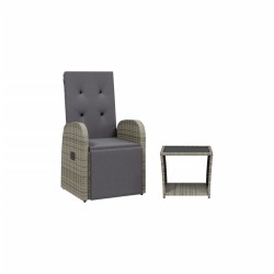 vidaXL Juego de comedor jardín 2 pzas con cojines ratán sintético gris