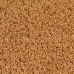 vidaXL Felpudo de fibra de coco copetuda 40x60 cm
