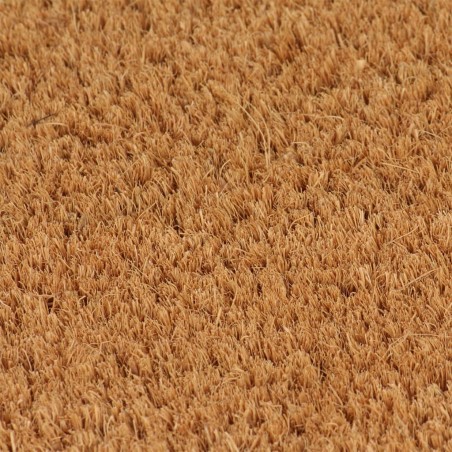 vidaXL Felpudo de fibra de coco copetuda 40x60 cm
